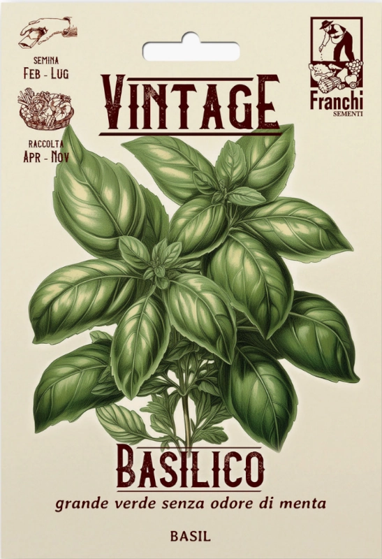 Bazylia Grande Verde Senza Odore di Menta aromatyczne liście nasiona 8g FRANCHI Vintage sklep rajogrodnika